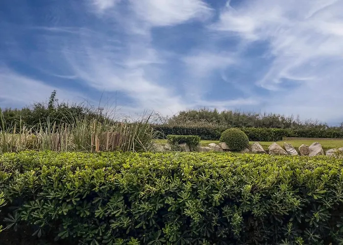 Lejlighed Les Terrasses De La Mer-17 By Interhome La Grande-Motte